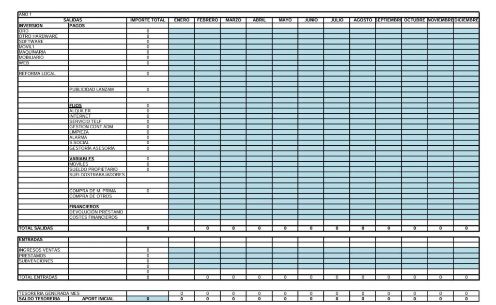 Prevision Cash Flow plan 1 año